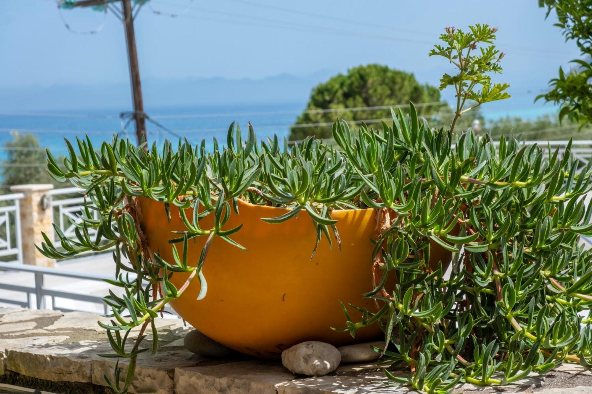 Apartmán Theasea House Áyios Nikítas Exteriér fotografie